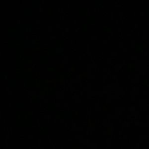 Meet your Posher, Hailey